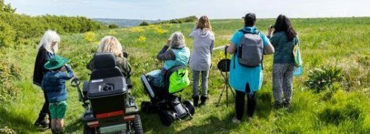 GOGA Dover: Wild with Wheels accessible walk