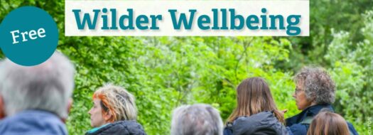 Wilder Wellbeing – Gentle Walking Group