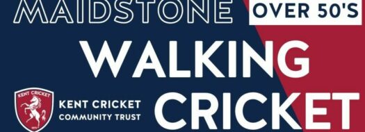 Walking Cricket (Maidstone)