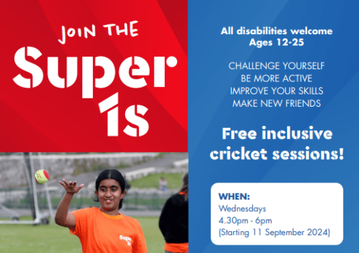 Inclusive disability cricket