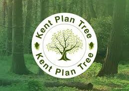 kent plan tree logo