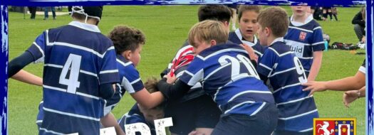 Rugby Mini’s and Youth Section – Boys and Girls