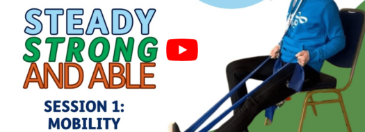 Strong, Steady and Able Seated Class – From Home