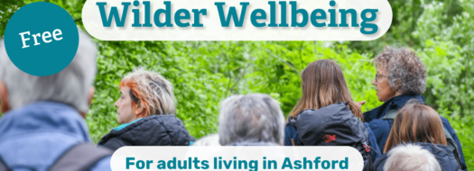 Wilder Wellbeing – Hothfield