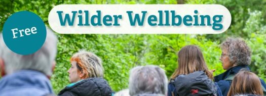 Wilder Wellbeing Programmes